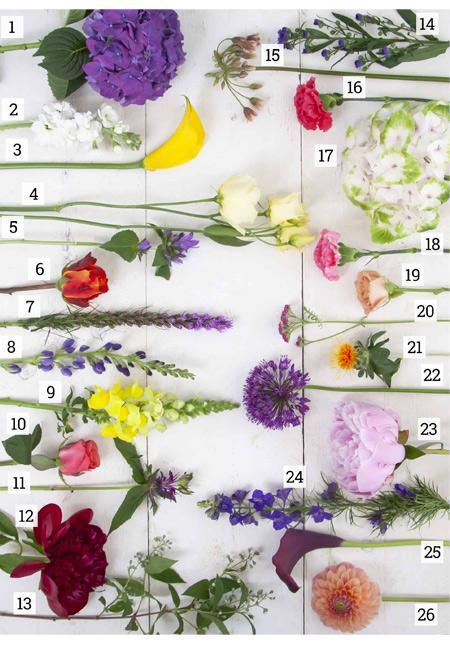 10 Spring and Summer Floral Wedding Ideas and Invites for 2022 Brides | Clear Wedding Invites